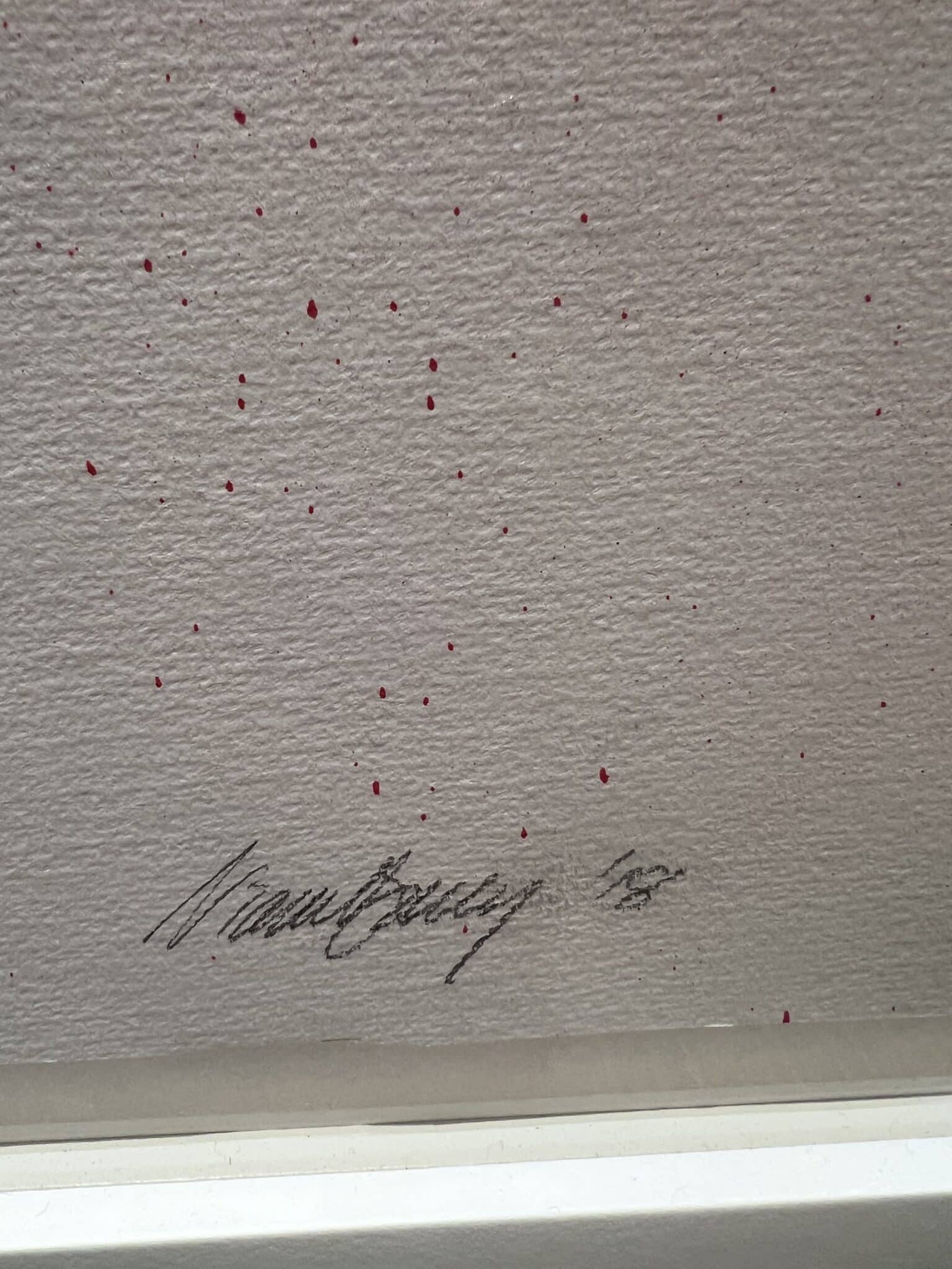 Niamh Barry artists signature